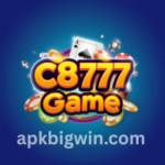 C8777 Game