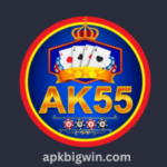 AK55 Game